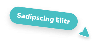 Sadipcing elitr